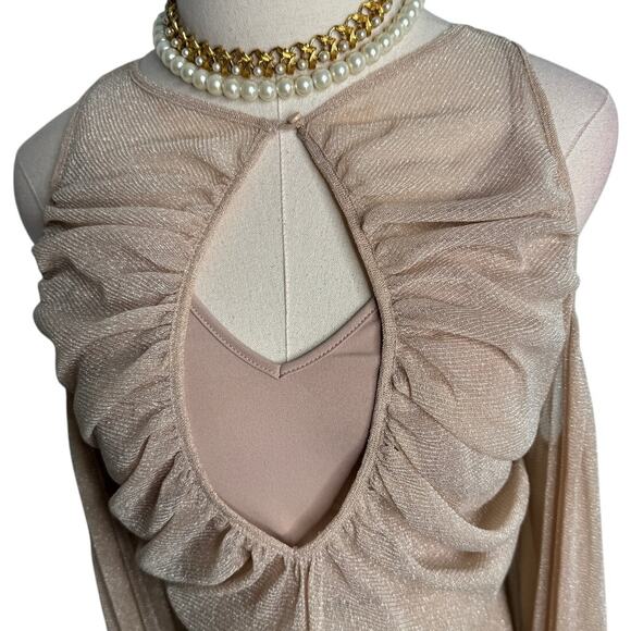 Alice McCall Spell Gown Maxi Dress nude neutral metallic knit mesh Size 4 - Picture 6 of 13